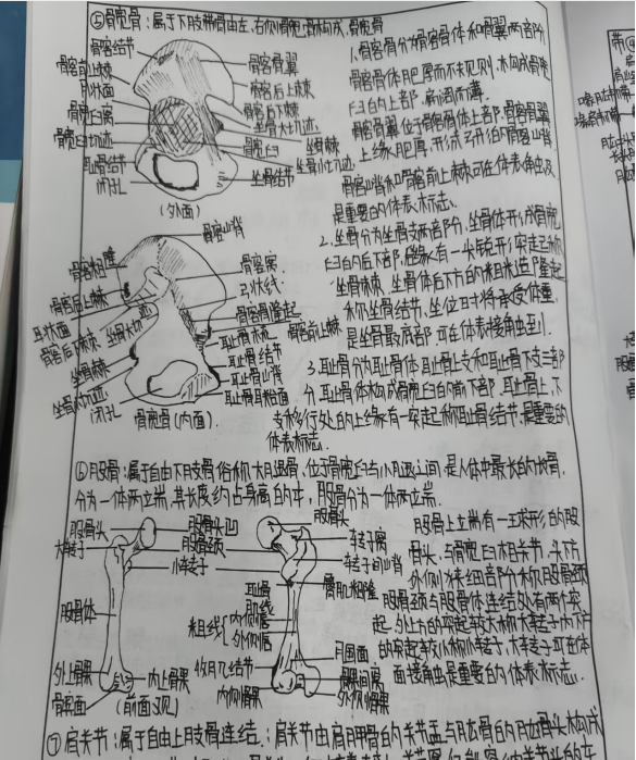 1ad1faf412504779a1e4feb0f5880e45.png 1ad1faf412504779a1e4feb0f5880e45.png