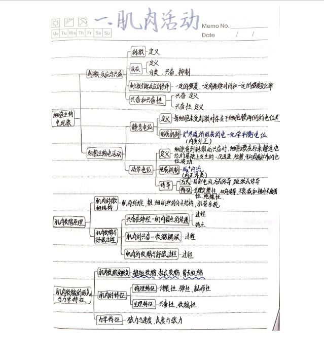 72103cdbdcee4fd1b07789ed6ffa9df6.png 72103cdbdcee4fd1b07789ed6ffa9df6.png